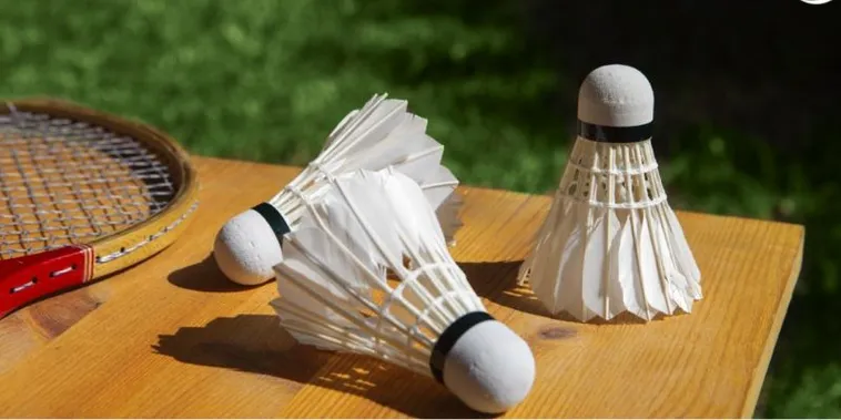 Nắm Trọn Cách Chơi Cá Cược Cầu Lông Sclub88 Để Thắng Lớn 2 Nắm Trọn Cách Chơi Cá Cược Cầu Lông Sclub88 Để Thắng Lớn