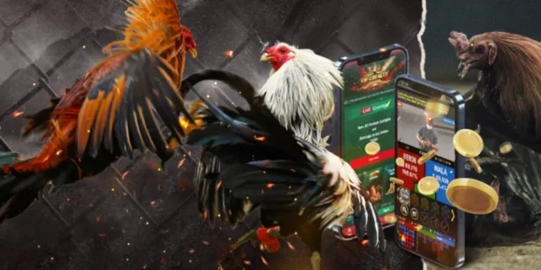 Chinh Phục Sảnh Đá Gà GA28 Sclub88 Với Chiến Thuật Đỉnh Cao 2 Chinh Phục Sảnh Đá Gà GA28 Sclub88 Với Chiến Thuật Đỉnh Cao