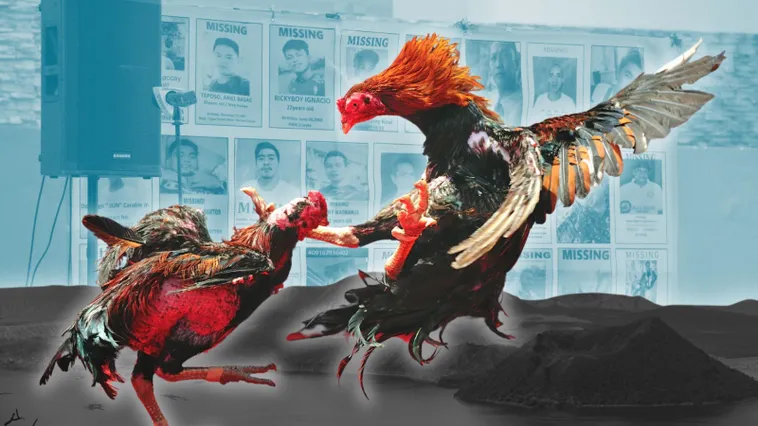 Bí Quyết Chơi Đá Gà Sabong Sclub88 Bất Bại Từ Cao Thủ