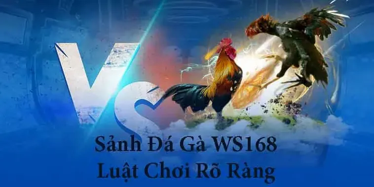 Chinh Phục Đấu Trường Đá Gà WS168 Sclub88 Rinh Thưởng Cực Lớn 1 Chinh Phục Đấu Trường Đá Gà WS168 Sclub88 Rinh Thưởng Cực Lớn