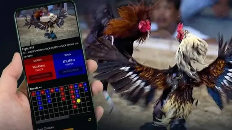 Khám Phá Sảnh Đá Gà Sclub88 Đẳng Cấp Thưởng Cực Khủng