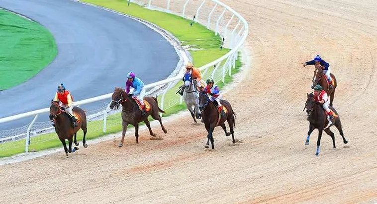 Khám Phá Cá Cược Đua Ngựa Sclub88 Nhận Thưởng Cực Lớn Ngay