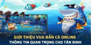 Bí Quyết Trở Thành Vua Bắn Cá Sclub88 Thống Trị Bảng Xếp Hạng